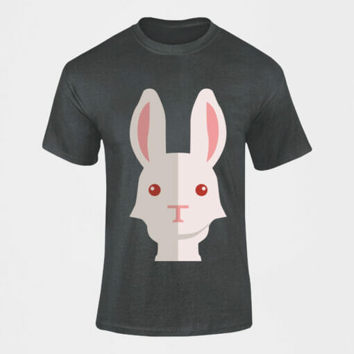 cute rabbit