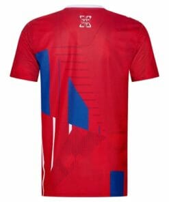 Alternative view of Bayern Munich 10 Years Champion Jersey Custom Name and Number Jersey