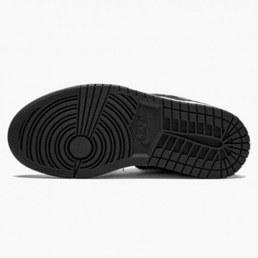 Air Jordan 1 “Twist”