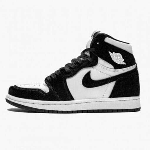 Air Jordan 1 “Twist”