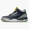 Air Jordan 3 Retro Michigan
