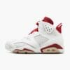 Air Jordan Retro 6 Alternate