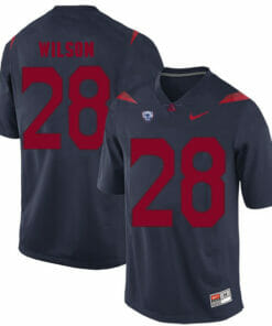 Arizona Wildcats #28 Nick Wilson NCAA College Football Jersey Blue