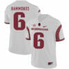 Arkansas Razorbacks #6 TJ Hammonds College Football Jersey White