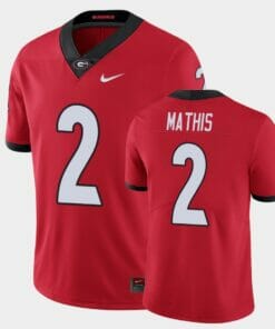 Georgia Bulldogs #2 DWan Mathis Red Limited Jersey