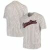 South Carolina Gamecocks Custom Name and Number Baseball Jersey Pinstripe