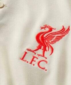 Alternative view of 21-22 Liverpool Away Jersey Custom Name and Number Jersey