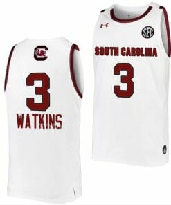 Ashlyn Watkins Jersey South Carolina Gamecocks College Basketball White #3