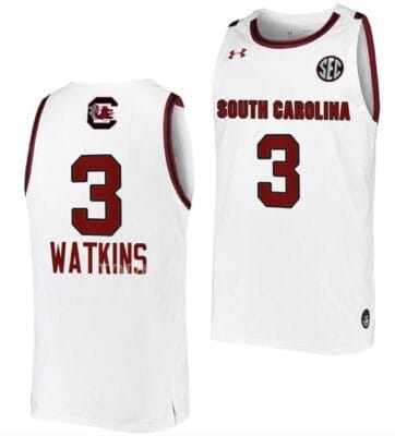 Ashlyn Watkins Jersey South Carolina Gamecocks College Basketball White #3