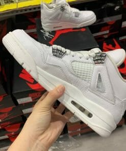 Air Jordan 4 Silver Pure Money