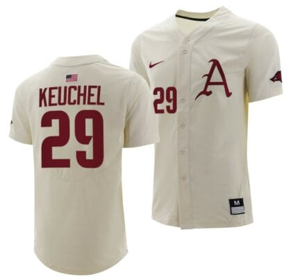 Dallas Keuchel Jersey Arkansas Razorbacks College Baseball Full-Button Natural #29