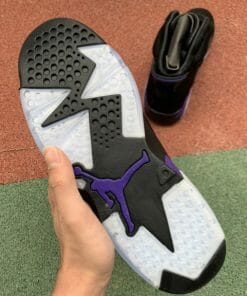 Air Jordan 6 NRG Horsehair Snake