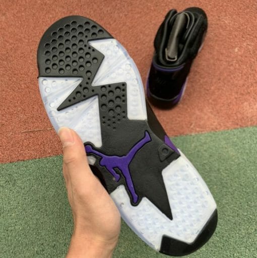 Air Jordan 6 NRG Horsehair Snake