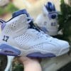 Air Jordan 6 UNC Pantone