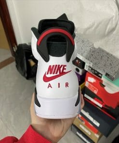 Air Jordan 6 Carmine