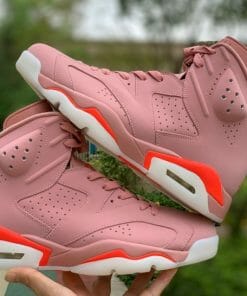 Air Jordan 6 x Aleali May