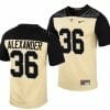 Purdue Boilermakers Jaylan Alexander Jersey #36 College Football Gold Vapor Untouchable