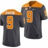 Tennessee Volunteers #9 Tyler Baron Jersey 2023 Artful Dodger Smokey Grey Alternate Football