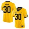 Michigan Wolverines Will Rolapp Jersey #30 College Football Game Yellow