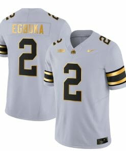 Ohio State Buckeyes Emeka Egbuka Jersey #2 College Football Stitched Gray Gold
