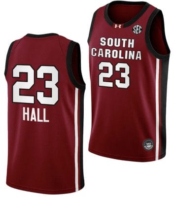 Bree Hall Jersey #23 South Carolina Gamecocks College Basketball 2023-24 Garnet