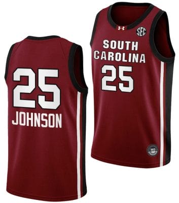 Raven Johnson Jersey #25 South Carolina Gamecocks College Basketball 2023-24 Garnet