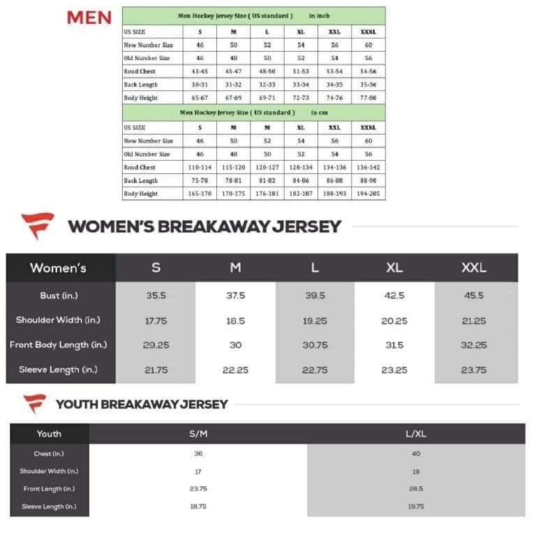 Dylan Larkin Jersey #71 Detroit Red Wings Centennial Season Premium Stitched 2 Dylan Larkin Jersey #71 Detroit Red Wings Centennial Season Premium Stitched - Image 2