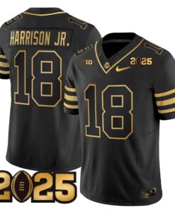 Ohio State Buckeyes 'Heritage Stripe' CFP Final Patch Gold Vapor Limited Jersey - All Stitched 49 1737098565c56c87157c ef293d04 1817 496b 8793 acbf03e9a9f6