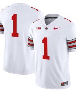 Alternative view of Ohio State Buckeyes 'Heritage Stripe' 2025/26 Vapor Limited Jersey - All Stitched