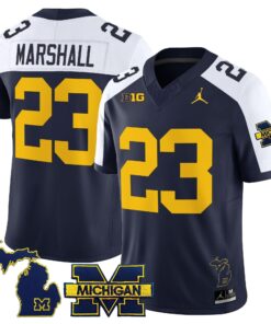 17538433155023095719