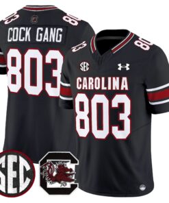 South Carolina Gamecocks 2025 Vapor Limited Jersey - All Stitched 43 17545553024eba933315