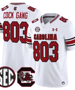 South Carolina Gamecocks 2025 Vapor Limited Jersey - All Stitched 51 175455530327cde5b461