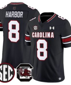 South Carolina Gamecocks 2025 Vapor Limited Jersey - All Stitched 69 1754555303de607f7f08