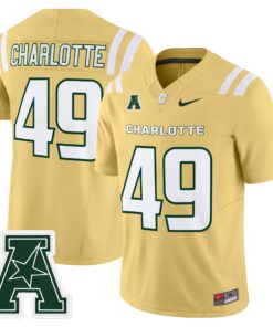 17593136536c289a186f 2