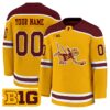 Custom Minnesota Golden Gophers Jersey Name, Number 2025-26 Premium Stitched