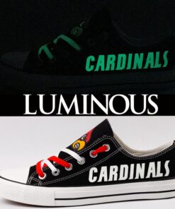 Louisville Cardinals 6