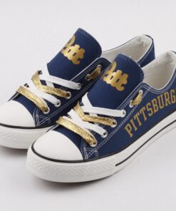 Pittsburgh Panthers 3 67a0f001 b8d9 47d8 a3ec 6be3190c7c0a