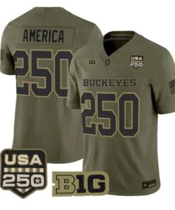 America Jersey #250 Ohio State Buckeyes 2026 Salute to Service Stitched Olive by My Store NCAA Football Jerseys
