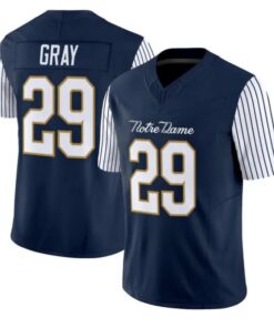 Christian Gray Jersey #29 Notre Dame Fighting Irish 2018 Shamrock Series Stitched by My Store NCAA Football Jerseys
