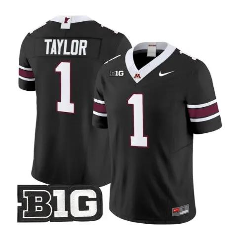 Darius Taylor Jersey #1 Minnesota Golden Gophers 2026 Stitched by My Store NCAA Football Jerseys