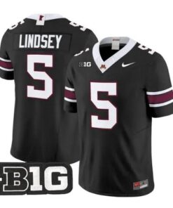 Drake Lindsey Jersey #5 Minnesota Golden Gophers 2026 Stitched by My Store NCAA Football Jerseys