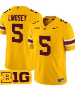 Drake Lindsey Jersey #5 Minnesota Golden Gophers 2026 Stitched by My Store NCAA Football Jerseys