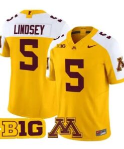 Drake Lindsey Jersey #5 Minnesota Golden Gophers 2026 Stitched by My Store NCAA Football Jerseys