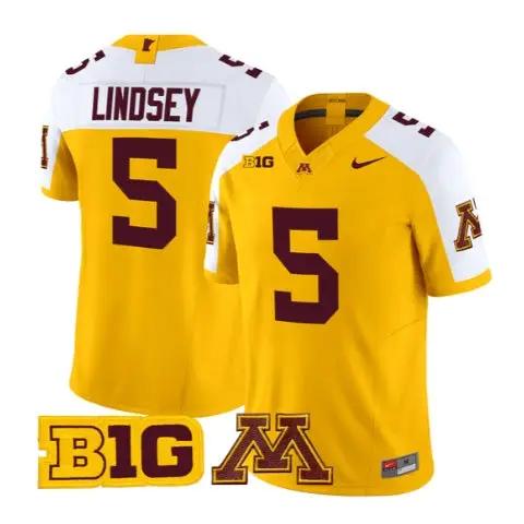 Drake Lindsey Jersey #5 Minnesota Golden Gophers 2026 Stitched by My Store NCAA Football Jerseys