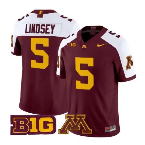 Drake Lindsey Jersey #5 Minnesota Golden Gophers 2026 Stitched by My Store NCAA Football Jerseys