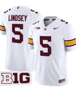 Drake Lindsey Jersey #5 Minnesota Golden Gophers 2026 Stitched by My Store NCAA Football Jerseys