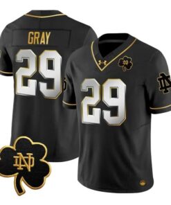 Christian Gray Jersey #29 Notre Dame Fighting Irish 2026 Stitched by My Store NCAA Football Jerseys
